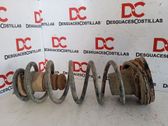 Front coil spring