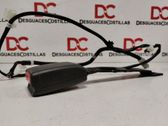 Cinturón delantero