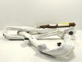 Rear door airbag