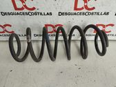 Muelle espiral delantero