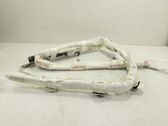 Front door airbag