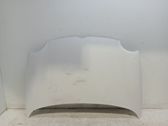 Engine bonnet/hood