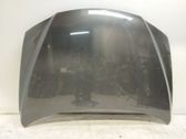 Engine bonnet/hood
