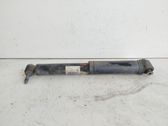 Rear shock absorber/damper