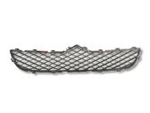 Kühlergrill