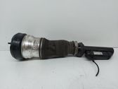 Front shock absorber/damper