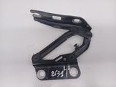 Bisagras del capó/tapa del motor