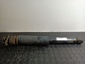 Stoßdämpfer hinten