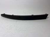 Trim molding