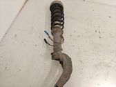 Front shock absorber/damper