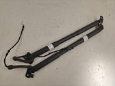Tailgate/trunk strut/damper