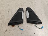 Front door high frequency speaker