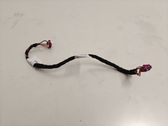 Other wiring loom