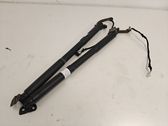 Tailgate/trunk strut/damper