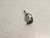 Front door lock (next to the handle)