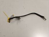 Negative earth cable (battery)