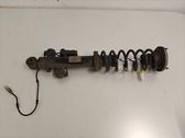 Rear shock absorber/damper