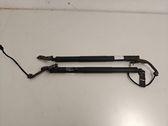 Tailgate/trunk strut/damper