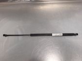 Front bonnet/hood damper/strut