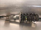 Front shock absorber/damper