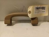 Front interior roof grab handle