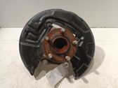 Rear wheel hub