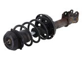 Front shock absorber/damper