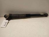 Rear shock absorber/damper