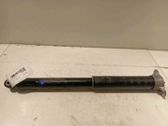 Rear shock absorber/damper