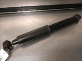 Rear shock absorber/damper