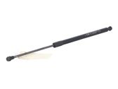 Tailgate/trunk strut/damper