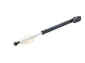 Tailgate/trunk strut/damper