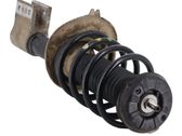 Front shock absorber/damper