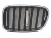 Kühlergrill