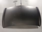 Motorhaube