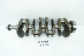 Drive shaft (set)