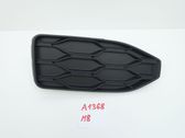 Front fog light trim/grill