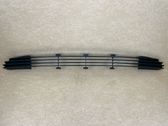 Front bumper lower grill