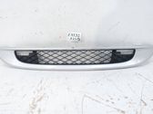 Kühlergrill