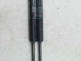 Tailgate/trunk strut/damper