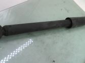 Stoßdämpfer hinten