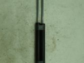Tailgate/trunk strut/damper
