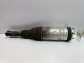 Front shock absorber with coil spring