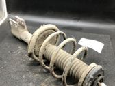 Front shock absorber with coil spring