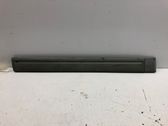 Front door trim (molding)
