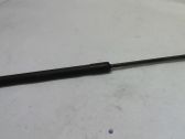 Tailgate/trunk strut/damper