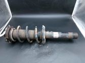 Front shock absorber with coil spring
