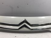 Front grill