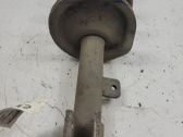 Front shock absorber with coil spring