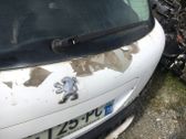 Wischerarm Heckscheibe